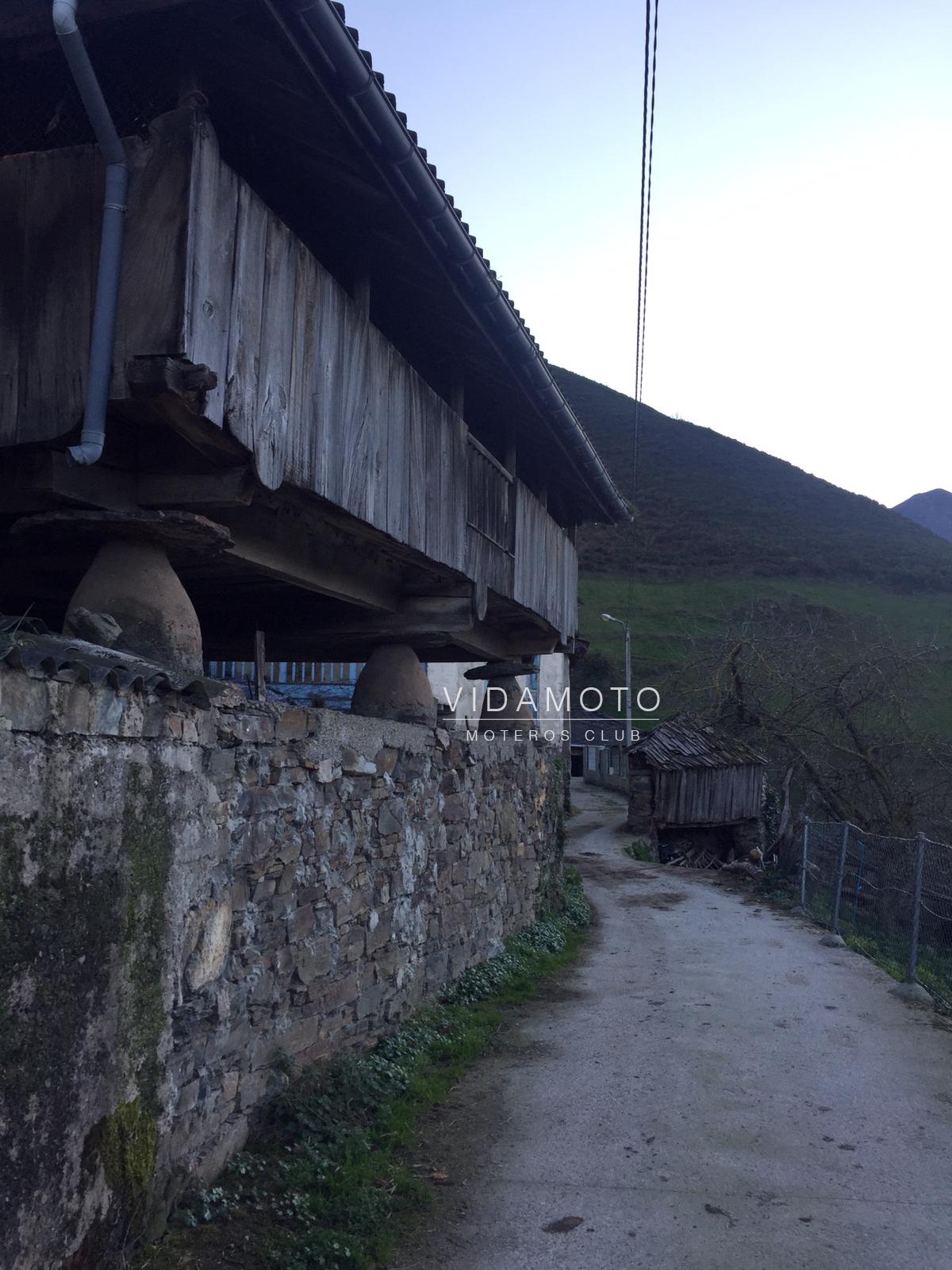 2019-03-16 22.50.22-1