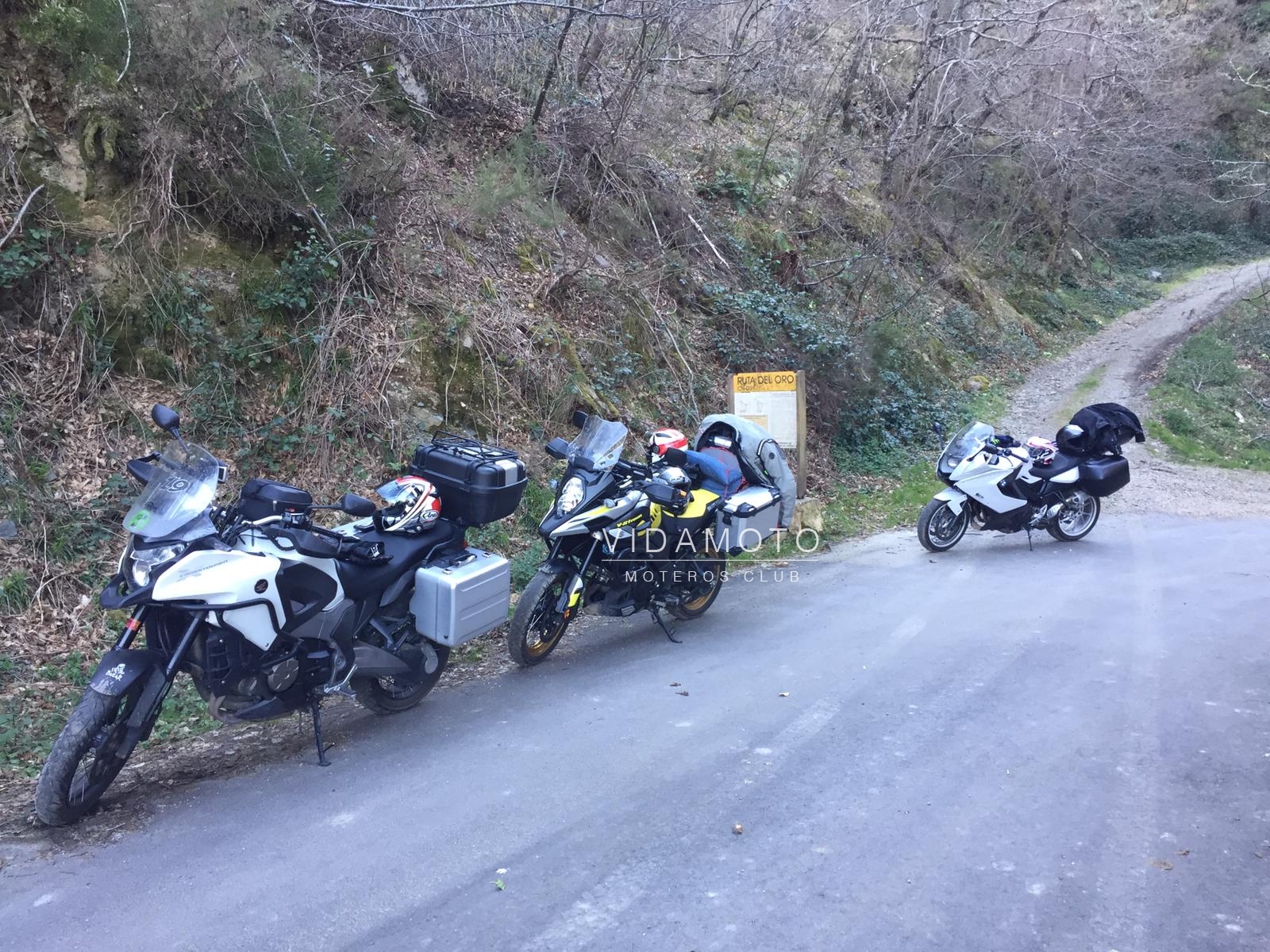 2019-03-16 22.50.23-1