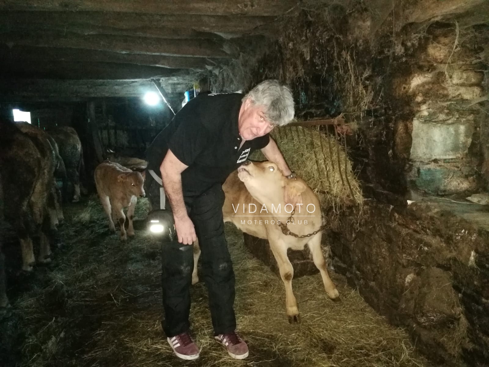 2019-03-16 23.54.32-1