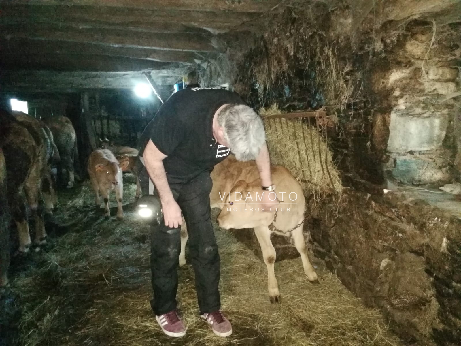 2019-03-16 23.54.32-2