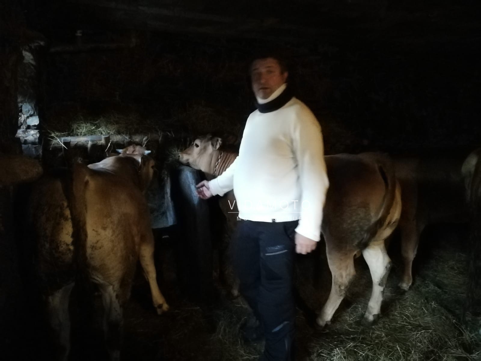 2019-03-16 23.54.33-14