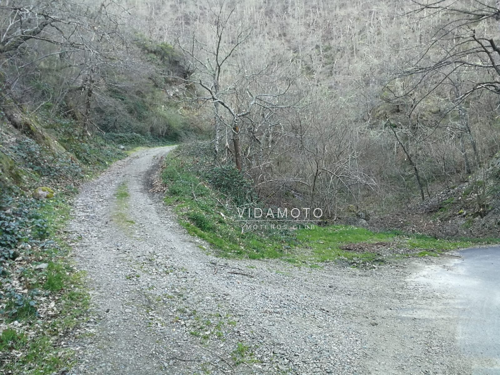 2019-03-16 23.54.33-20