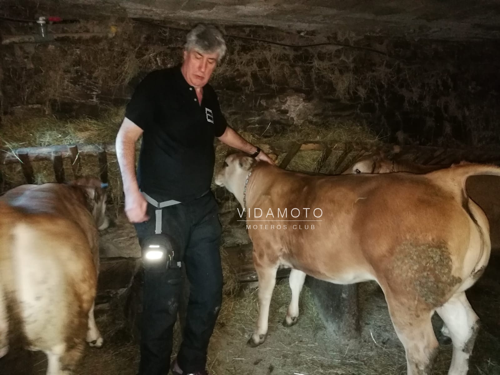 2019-03-16 23.54.33-23