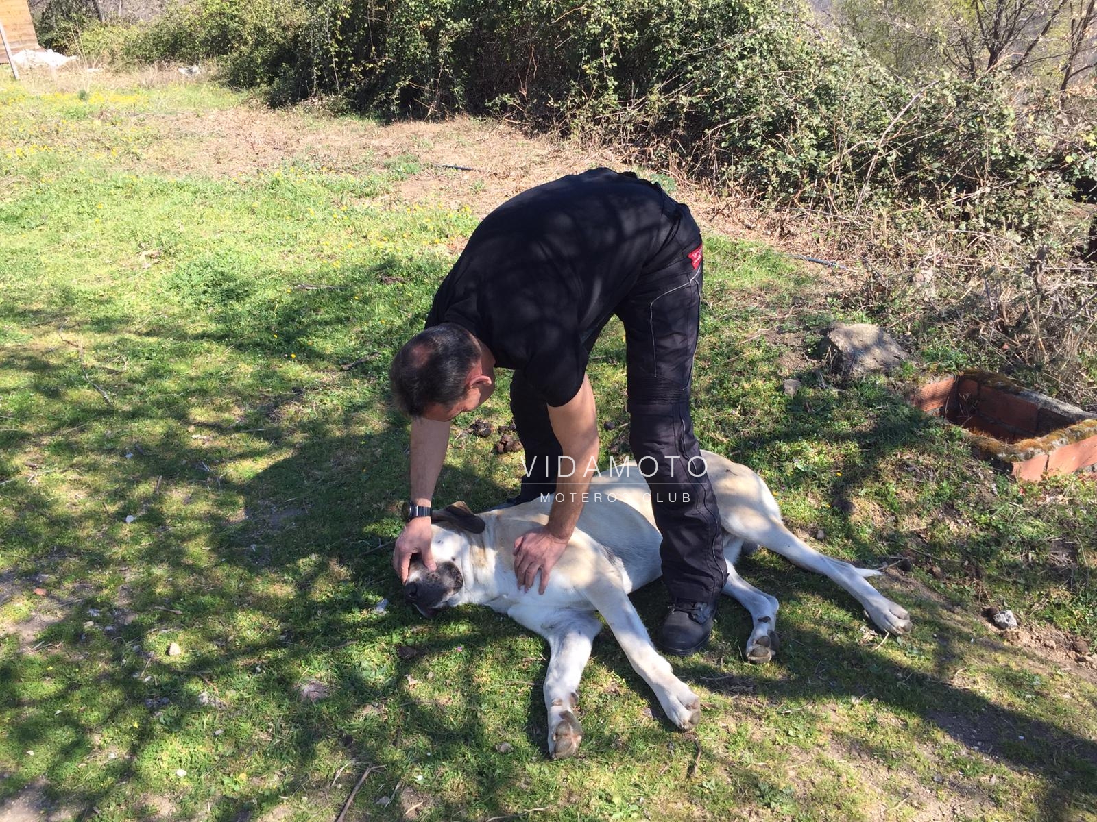 Losar-de-la-vera-2019-3