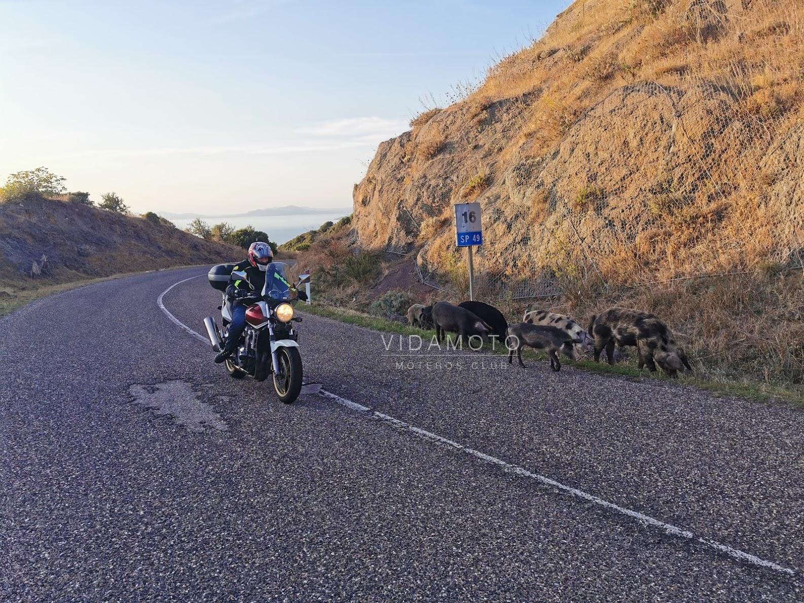 IMG_20190909_190740_1