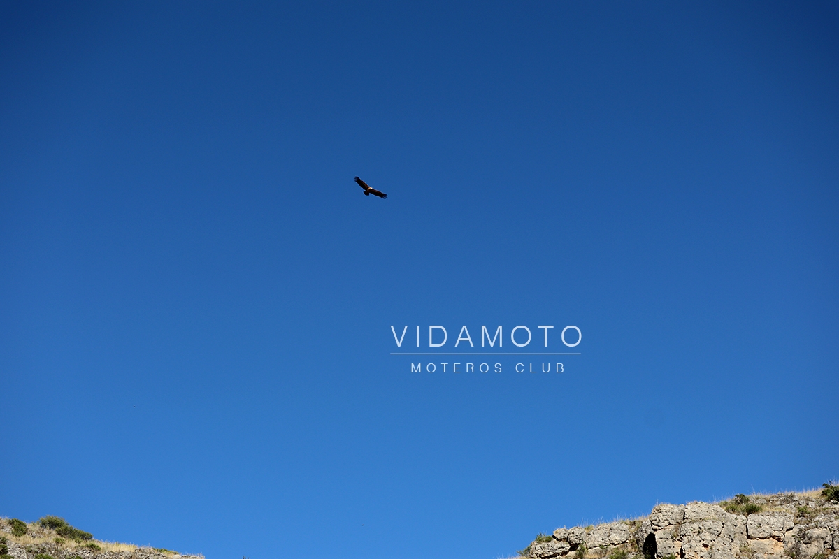 Canoas_Duraton_18-07-2020-19