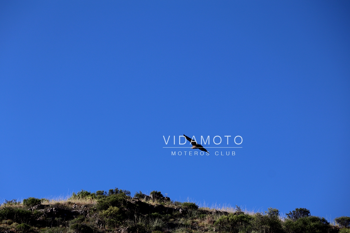 Canoas_Duraton_18-07-2020-21